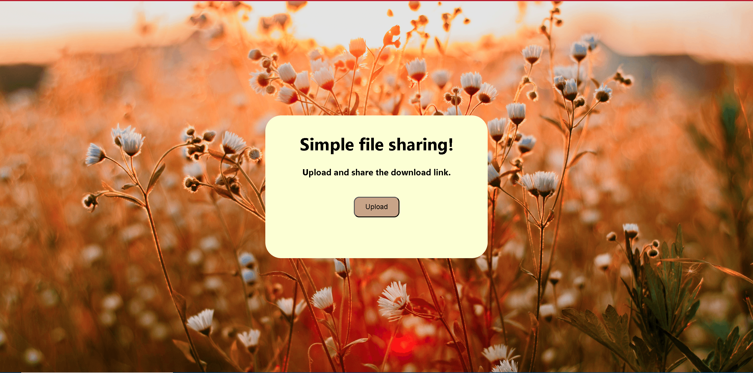 File Share